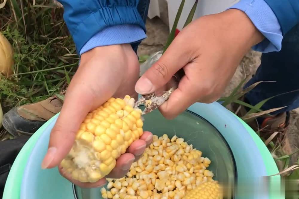 img, 甚至看到杂 img, 甚至看到杂